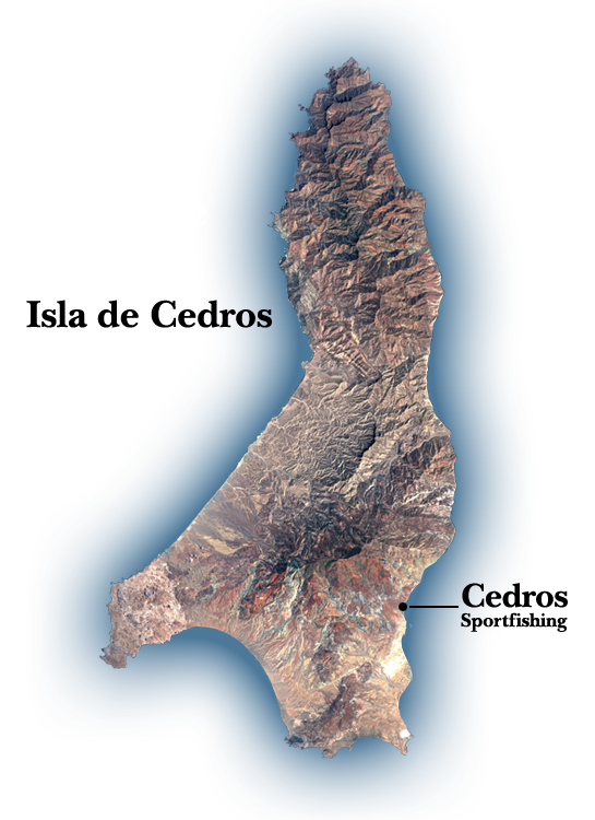 Explor Isla de Cedros