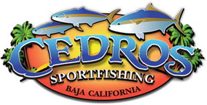 Cedros Sportfishing