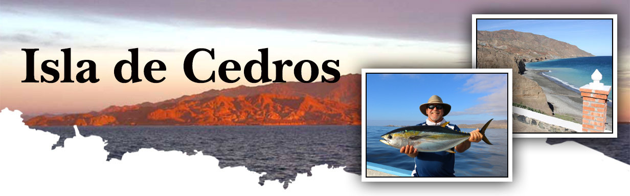 Cedros Island Sportfishing